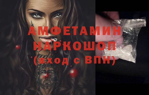 твердый Козельск