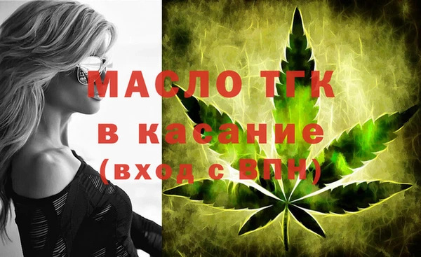 твердый Козельск