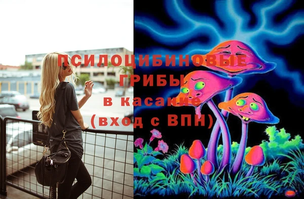 твердый Козельск