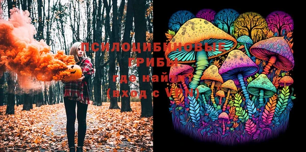 mdpv Кодинск