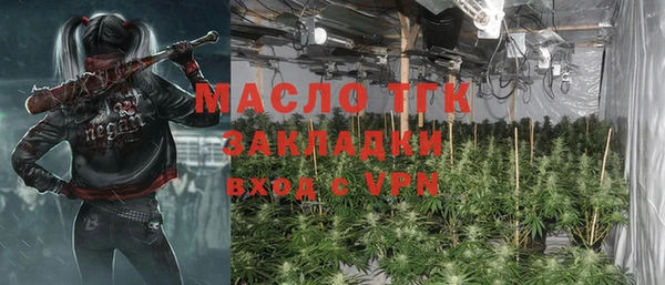твердый Козельск