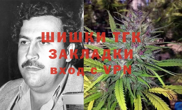 твердый Козельск