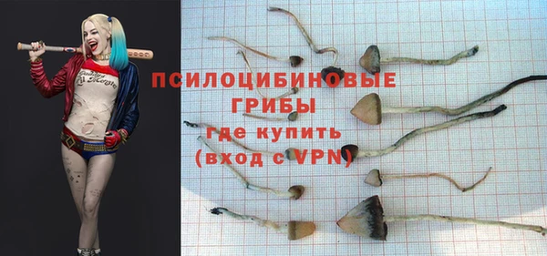 mdpv Кодинск