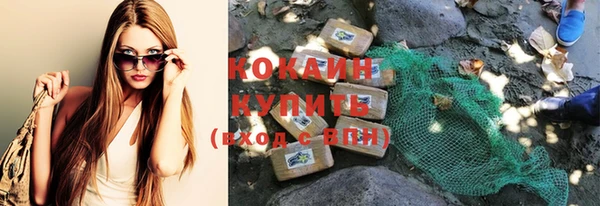 твердый Козельск