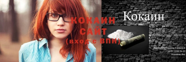 твердый Козельск