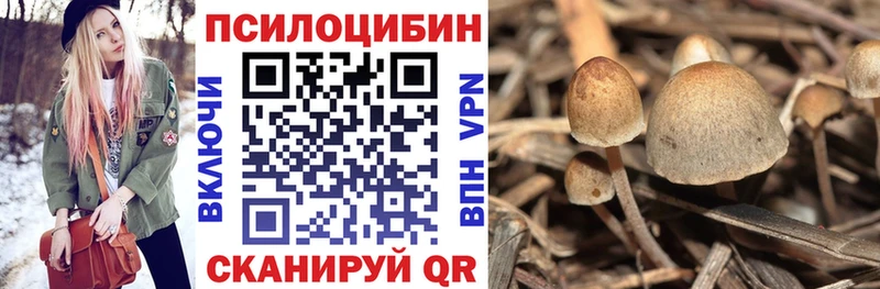 Псилоцибиновые грибы мицелий Шиханы